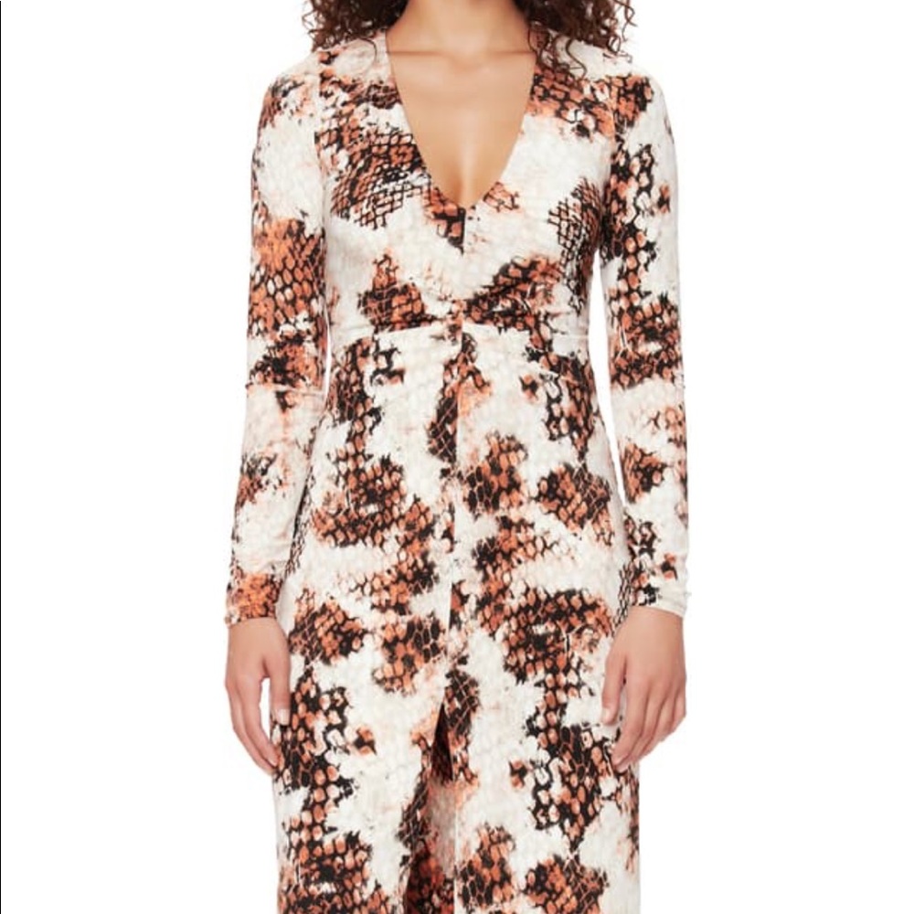 Zoey animal print long sleeve dress